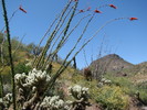 photo thumbnail #3