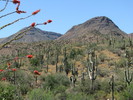 photo thumbnail #5
