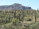 photo thumbnail #6