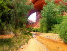 photo thumbnail #9