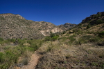 photo thumbnail #4