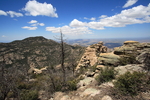 photo thumbnail #12