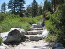 photo thumbnail #5