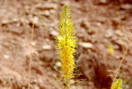 photo thumbnail #10