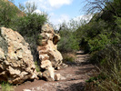 photo thumbnail #1