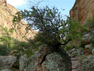 photo thumbnail #8