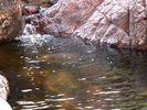 photo thumbnail #12