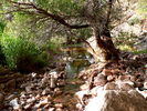 photo thumbnail #15