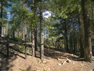 2008-05-18 :2: Jesus Goudy Ridge Trail #298 :: PrestonSands