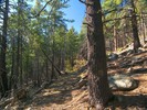photo thumbnail #3