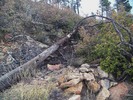 photo thumbnail #11