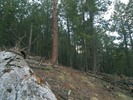 photo thumbnail #13