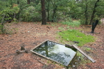 photo thumbnail #6