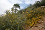 photo thumbnail #9