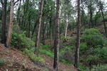photo thumbnail #12