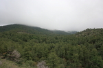 photo thumbnail #14