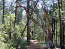 photo thumbnail #3