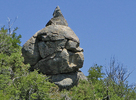 photo thumbnail #9