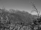 photo thumbnail #12