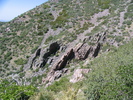 photo thumbnail #6