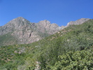 photo thumbnail #7