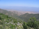 photo thumbnail #11