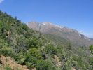 photo thumbnail #12