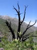 photo thumbnail #14