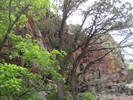 photo thumbnail #5