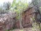 photo thumbnail #9