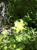 photo thumbnail #12