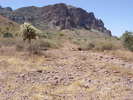 photo thumbnail #6