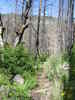 photo thumbnail #6