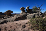 photo thumbnail #4