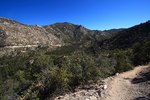 photo thumbnail #10