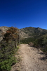 photo thumbnail #11