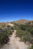 photo thumbnail #12