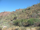 photo thumbnail #3