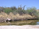 photo thumbnail #7