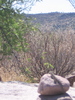 photo thumbnail #11