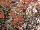 photo thumbnail #13