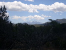 photo thumbnail #6