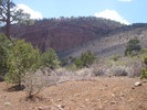 photo thumbnail #11