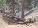 photo thumbnail #14