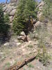photo thumbnail #14