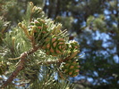 photo thumbnail #12