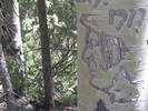 photo thumbnail #2