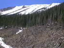 photo thumbnail #6
