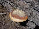 photo thumbnail #12