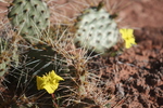 photo thumbnail #1